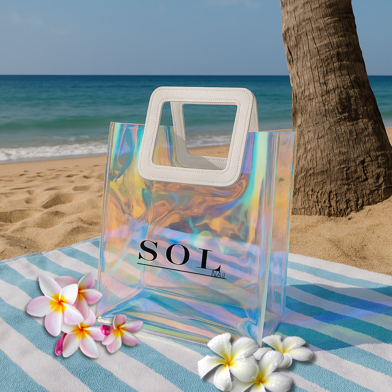 Sac Holographique